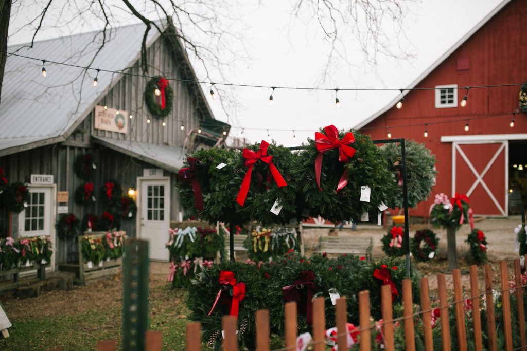 No. 34, Log Barn/Christmas Tree Farm, Williamsfield